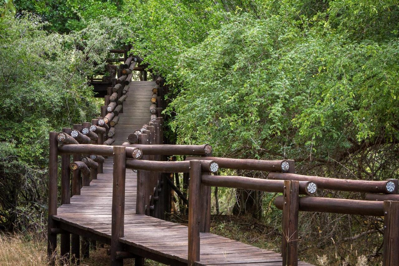 Serondella Safari Lodge Thornybush Game Reserve Bagian luar foto